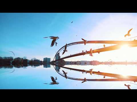 Raoul Russu -  Calauza