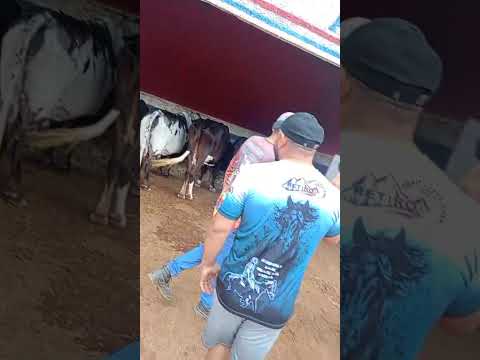 #sheik ostentando na serra du retiro Uruburetama ceara #comedia