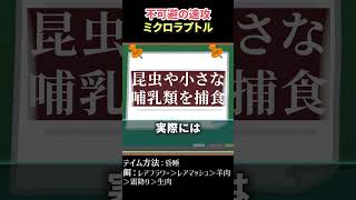 【ARK】スタンそして恐竜のエサに ミクロラプトル　#shorts    #arksurvivalevolved    #アーク  #ark