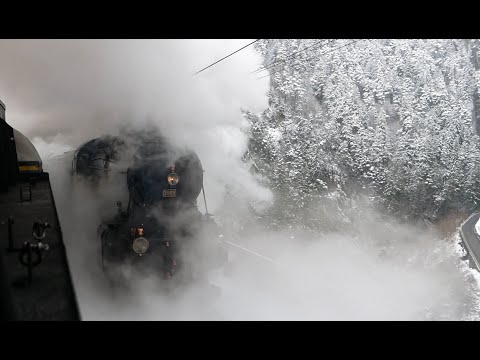 Parallelfahrt 01 202 & C5/6 2969 auf der Gotthard-Nordrampe, Führerstandsmitfahrt, 20. März 2018