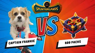 Captain Frankie Opens 800 Escalation Packs On Splinterlands