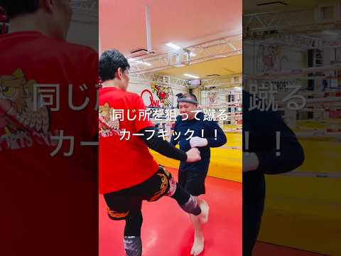 [キックボクシング　トレーニング　格闘技] 同じ所を狙って蹴る！！　カーフキック！！　#キックボクシング #トレーニング #格闘技