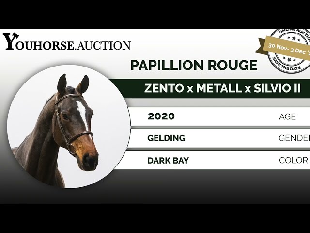 Papillion Rouge trainingsvideo