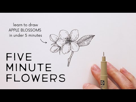 Five Minute Flowers: APPLE BLOSSOM ✿ EASY! Learn to draw flowers in under five minutes!