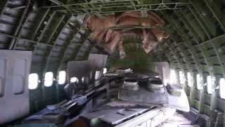 preview picture of video 'Abandoned Airplane In Bangkok Suburb - Part 2 (Lower Deck)'