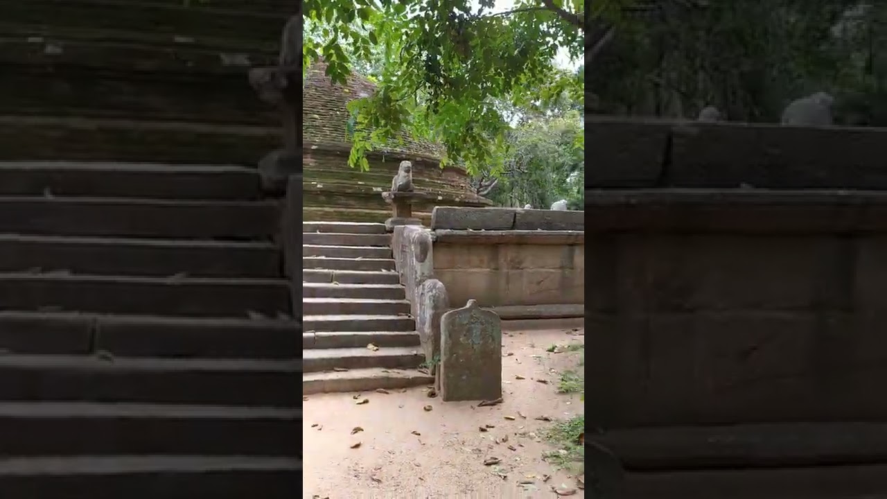 YouTube Short thumbnail