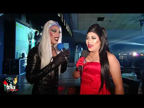 BAMBALINAS DIVAS DEL SHOW SEMANA DE TERROR - CANAL FARANDULA GAY