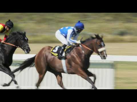 20210227 KENILWORTH  RACE 6 won by RIO QUERARI