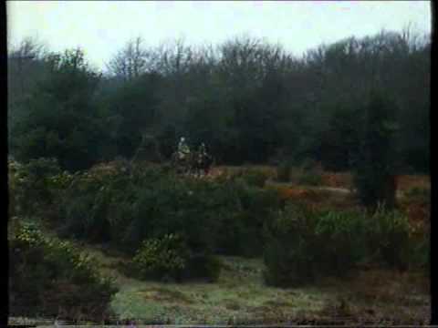 Country Ways - New Forest in February (Series 1, 1983)