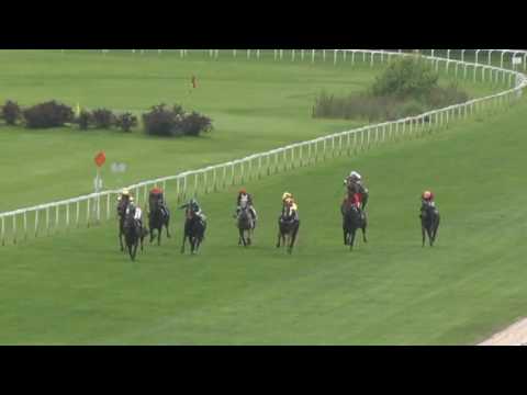 KV, 19. 6. 2016, 5. dostih - Cena společnosti LOKO TRANS, s.r.o.