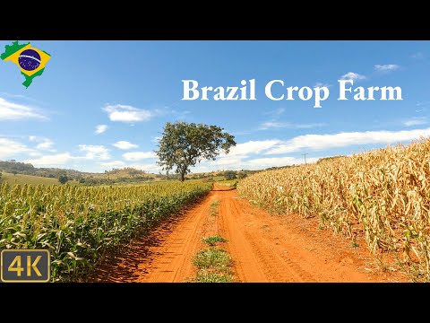 Driving Brazil 🇧🇷 | Sustainable Crop farm in Brazil 4K Scenic Drive