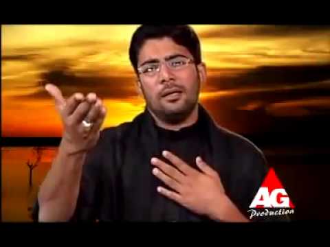 Syed Mir Hasan Mir nohay 2007  aye mere bhai Hussain[a.s] | Bhyaa Ghareeb Zainab[a.s] tera kafan