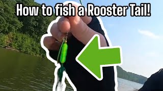 How to fish a Rooster Tail for Bass! (Beginner Tips/Tricks)