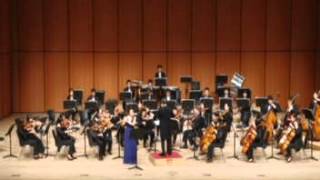 Albert Franz Doppler -- Fantasie pastorale hongroise Op. 26