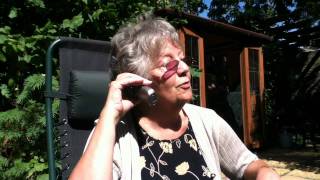 AGENT GRANNY (Amazing)