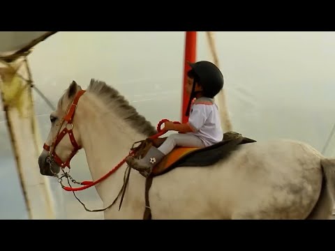 28 ENERO   CAP 1   CENTRO ECUESTRE ALMA EQUINA – CALDAS ANTIOQUIA