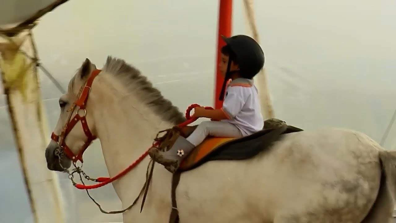 28 ENERO   CAP 1   CENTRO ECUESTRE ALMA EQUINA – CALDAS ANTIOQUIA