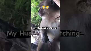 Funny Videos | Funny Video