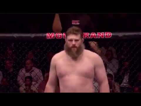 Roy Nelson vs Dave Herman full fight