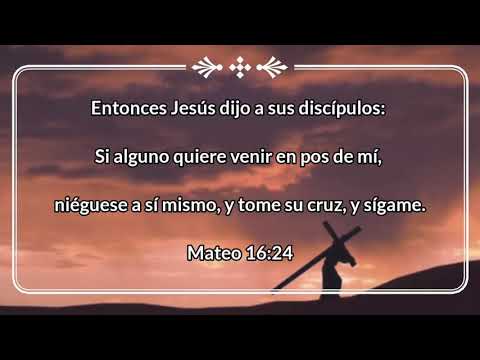 Versículo del día | Mateo 16:24