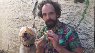 Jonny Fritz - Dog Mask