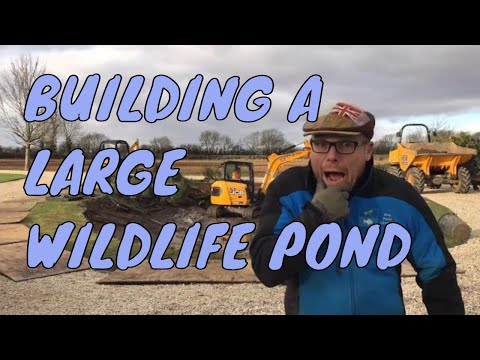 Building a Wildlife Pond | Garden Pond Building Northamptonshire