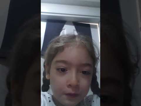 Ankara havası ve erik dalı