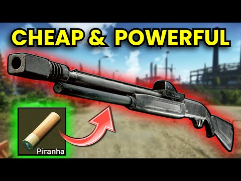 The Best Budget Shotgun Builds To Destroy PMCs! (Setup Guide Patch 0.14)
