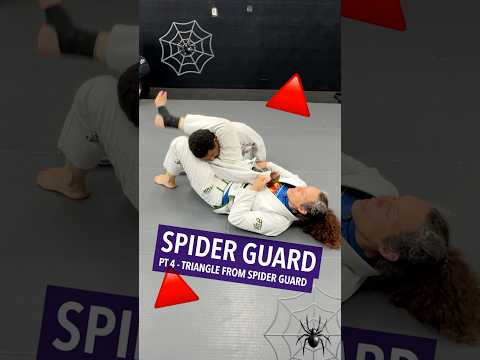 TRIANGLE FROM SPIDER GUARD 🔺🕷️