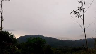 Download lagu pemandangan yang indah di sawah mp3