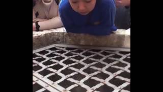 Girl Amazingly Sings Hallelujah Into A Well In Italy