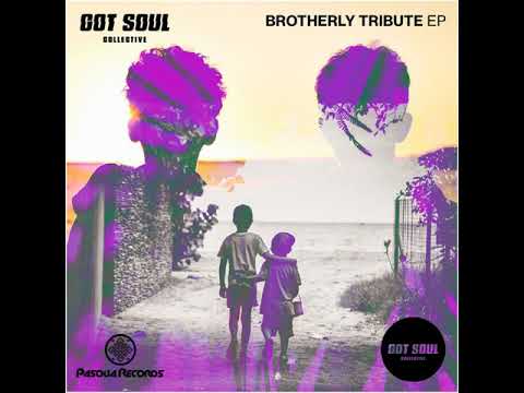 Got Soul Collective _ Brotherly Tribute (Mr Eclectic Brother's Keeper Remix)