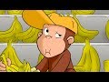 Curious George 🐵George The Grocer 🐵 Kids Cartoon 🐵 Kids Movies | Videos For Kids