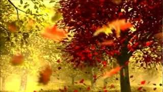 Blackmore&#39;s Night - Once In A Million Years