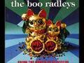 The Boo Radleys - From the Bench at Belvidere (audio only)