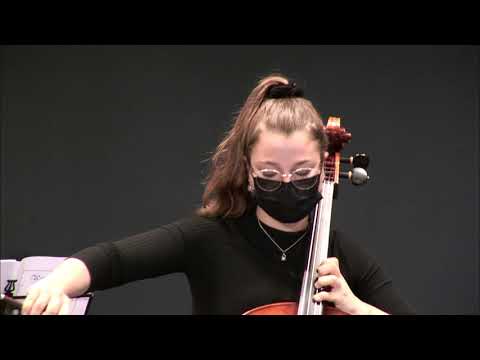 Vivaldi Cello Concerto in C major, RV 399