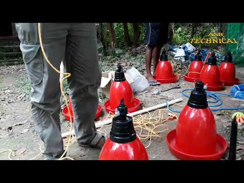 How to Installs an Automatic Drinker for Poultry