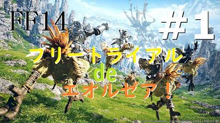［FF14］フリートライアル de エオルゼア！#1