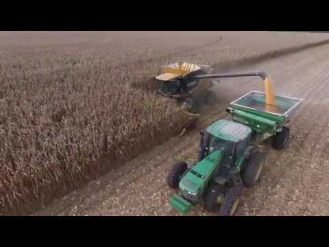 Corn Harvest 2016