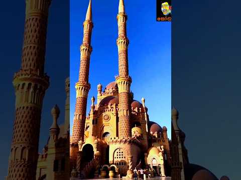 සිරිකුසා සිසිලියා දූපතේ 𝗺𝗮𝗻 𝗶𝘁𝗵𝗮𝗹𝗶𝘆𝗲 𝘁𝗵𝗮𝗻𝗶 𝘂𝗻𝗮 මං ඉතාලියේ තනි උනා 𝗱𝗮𝗻𝗮𝗽𝗮𝗹𝗮 𝘂𝗱𝗮𝘄𝗮𝘁𝘁𝗮 𝗰𝗼𝘃𝗲𝗿 𝘀𝗼𝗻𝗴 𝗼𝗹𝗱