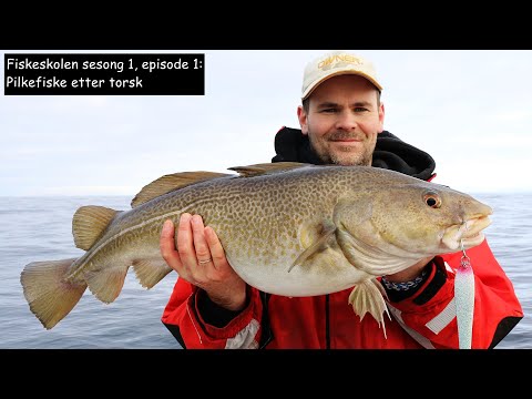 Fiskeskolen sesong 1, episode 1: Pilkefiske etter torsk