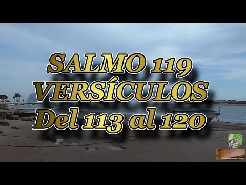 Salmo 119:113-120
