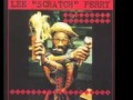 Lee Perry & Mad Professor Mad Man Dubwise