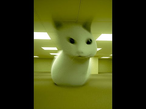 😼Met a cursed cat in the backrooms (Found Footage)