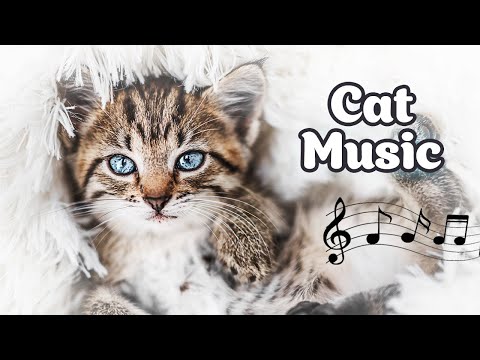 ♬ Winter Calming Music for Cats ♬ 10 hours Stress Relief for Cats