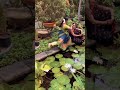 Something So Innocent About Nature As Well As Its Calming Quality