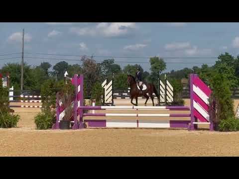 Quarter Sinclaire video 1
