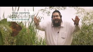 שידור ישיר מאוקראינה:"לאט לאט עוד צעד ועוד צעד"... "בסוף תזכה לתקן את הכל"... אברהם רובינוף מקום בלב