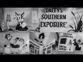 Daffy S Southern Exposure 1942 Hilarious Winter Cartoon