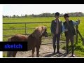 Wesley en Rodney maken een paardenfoto! | Wesley en Rodney | Het Klokhuis
